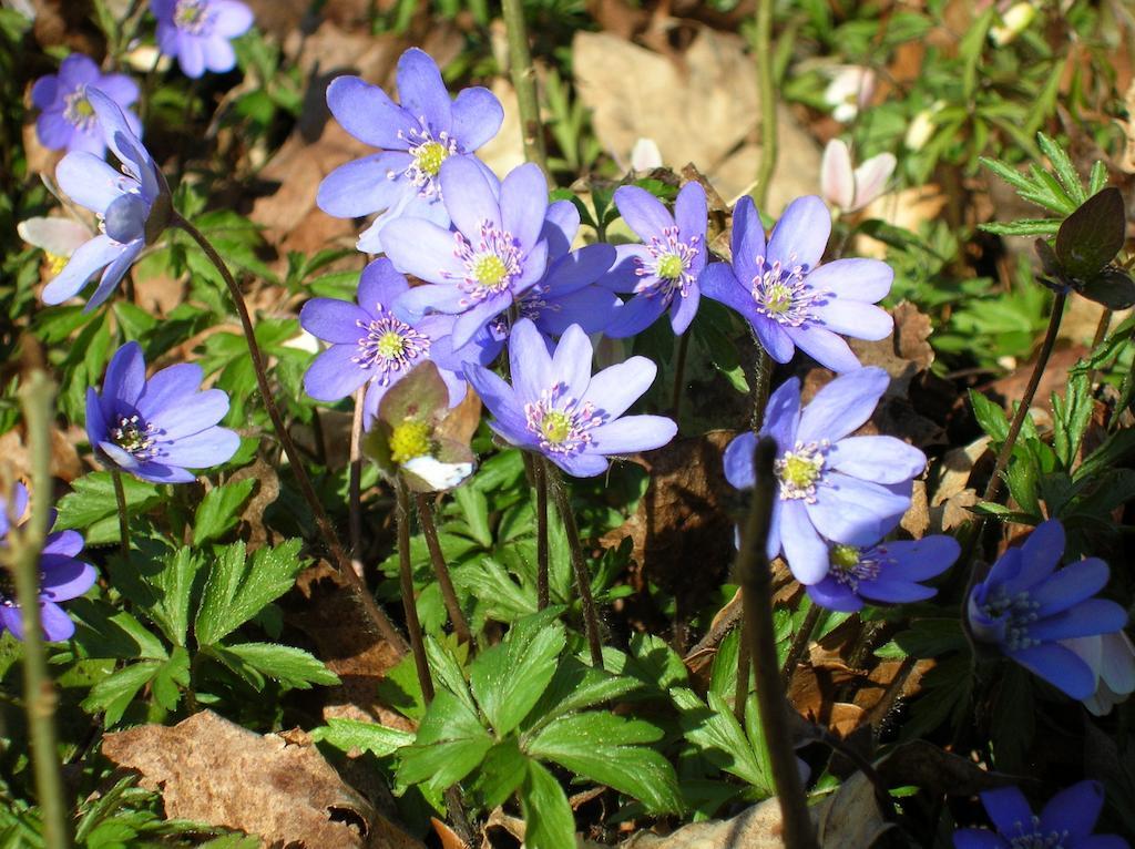 Wismens Natur & Fiske Krogsered エクステリア 写真
