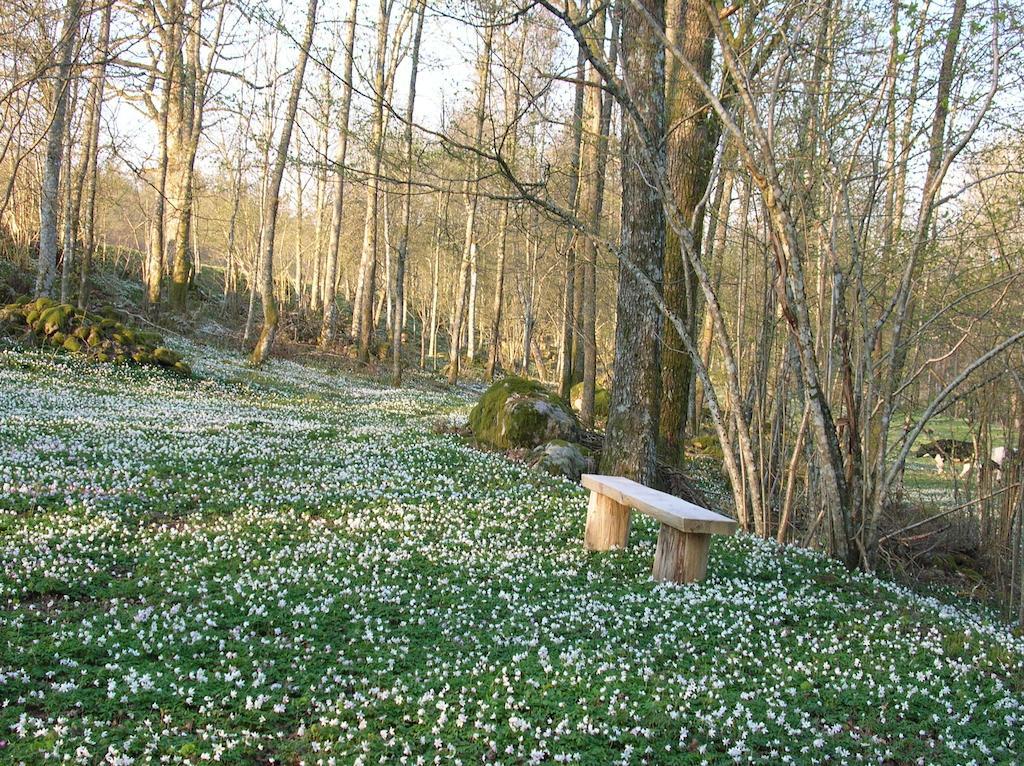 Wismens Natur & Fiske Krogsered エクステリア 写真