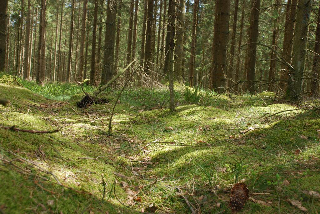 Wismens Natur & Fiske Krogsered エクステリア 写真